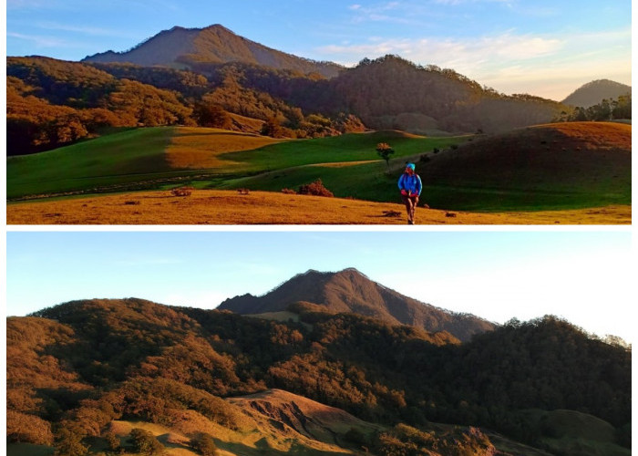 Menikmati Pesona Gunung Mutis: Surga Tersembunyi dengan Pemandangan Mempesona!