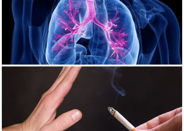 Tips Efektif Membersihkan Paru-paru Bagi Perokok Berat