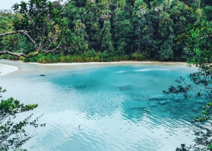 Surganya Wisatawan yang Belum Banyak Terekspos, Inilah Pesona Indah Papua Barat 