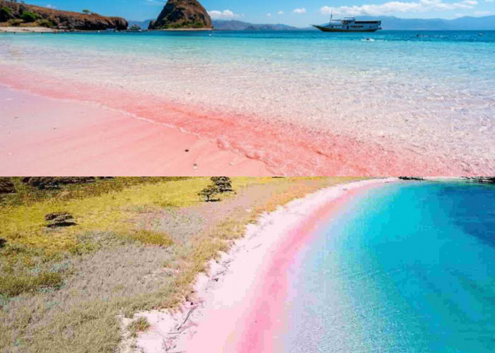 Pink Beach Labuan Bajo: Pesona Pasir Berwarna Merah Muda yang Menawarkan Pengalaman Liburan Tak Terlupakan