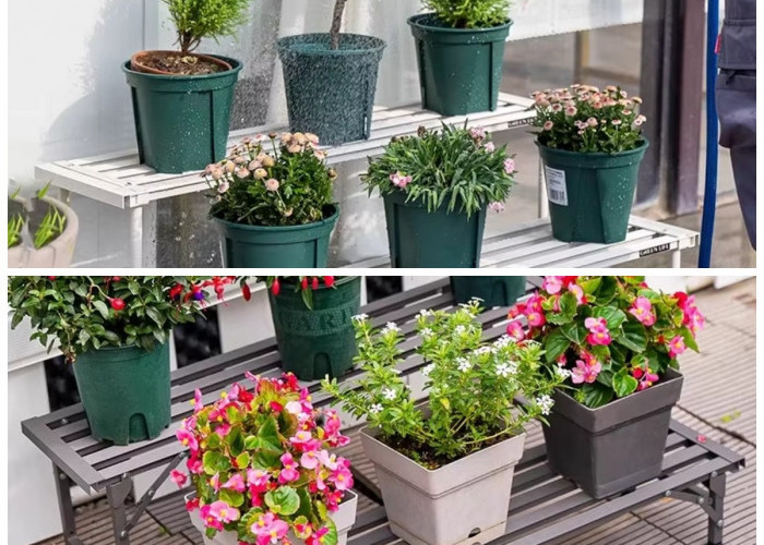 Rak Tanaman Outdoor Multi-Tingkat, Praktis dan Awet untuk Pekarangan Kecil