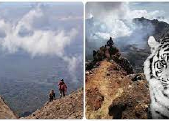 Terdapat Legenda 4 Pondok Gaib di Gunung Raung, Benarkah? Mengungkap Misteri Dataran Tinggi Jawa Timur!