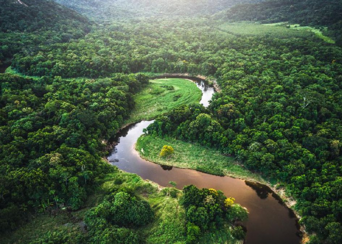 Misteri Kota Pra-Hispanik Jadi Temuan Terbesar di Amazon, Ada apa Saja Disana?