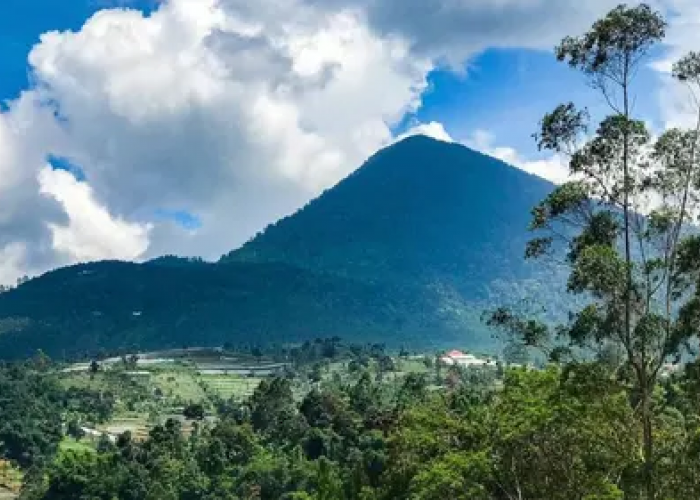 Gunung Bukit Tunggul: Saksi Bisu Letusan Purba dan Kisah Mistis yang Menghantui