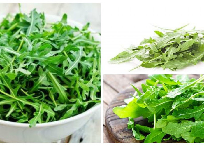 Arugula Mungkin Masih Terdengar Asing, Tapi Ini Manfaatnya yang Luar Biasa!