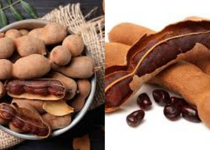 Wajib Tahu 9 Manfaat Asam Jawa, dari Obati Flu hingga Sembuhkan Luka