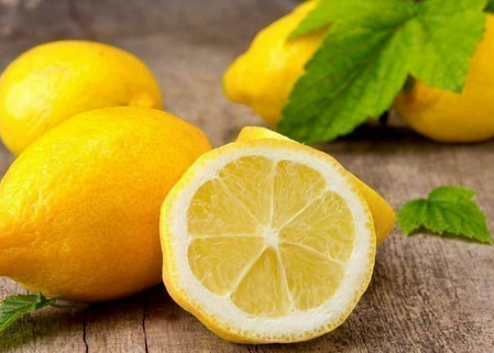 Selain Mencegah Anemia, Ini Manfaat Lain Konsumsi Jeruk Lemon