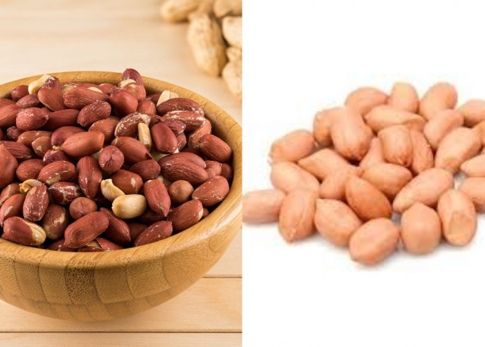 Yuk Ketahui! Inilah 8 Manfaat Kacang Untuk Kesehatan Yang Luar Biasa