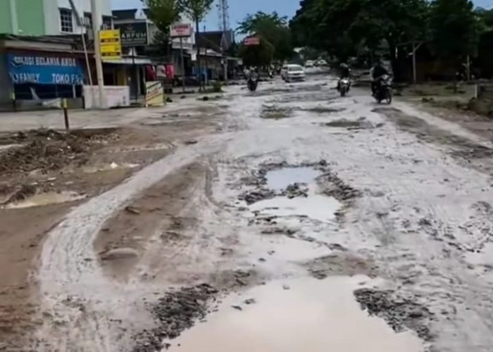 Banyak Jalan Rusak di Lampung, Ternyata Tempat Ini Punya Potensi Sumber Daya Alam yang Belum Tergali