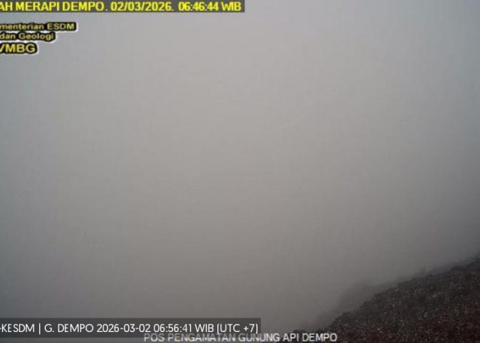 Aktivitas Terbaru Gunung Dempo Pagar Alam: Gempa Low Frekuensi dan Tektonik Jauh Terekam