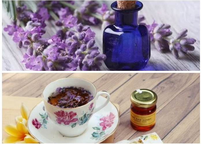 5 Keistimewaan Lavender untuk Kesehatan yang Belum Banyak Diketahui