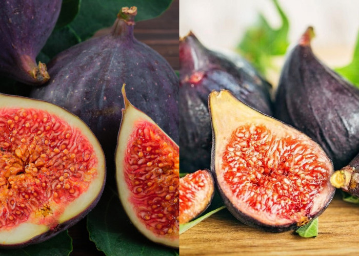 Rahasia Kesuburan Alami: Cara Mengonsumsi Buah Tin untuk Program Hamil!