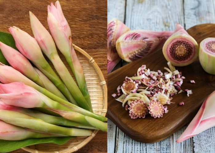 Manfaat Luar Biasa Kecombrang bagi Kesehatan Tubuh, Lengkap dengan Cara Memilih dan Mengolahnya!