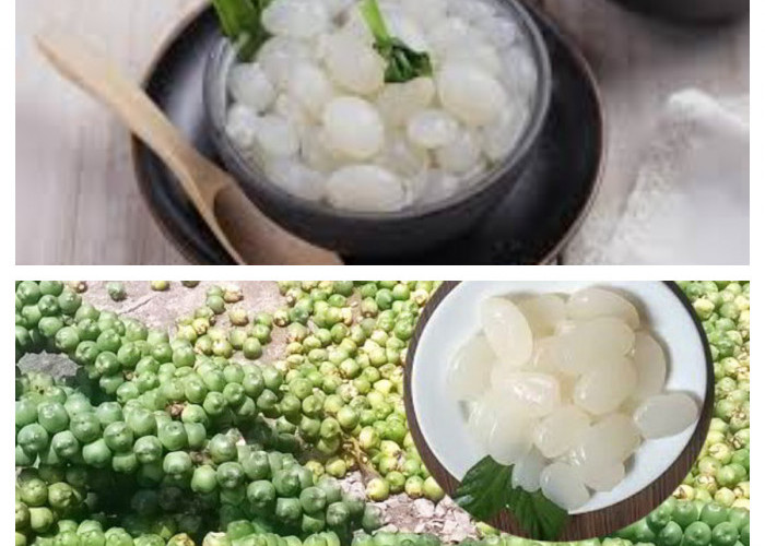 Yuk ketahui manfaat kolang kaling dan cara mengonsumsinya dengan sehat!