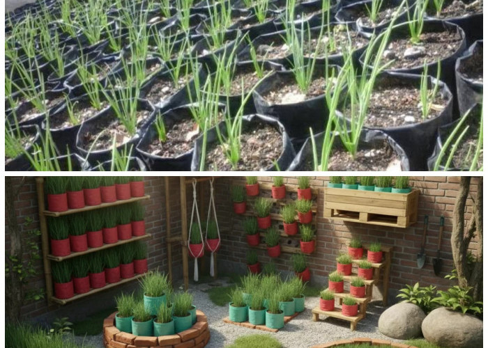 Sulap Pekarangan Jadi Produktif! 8 Ide Kebun Bawang Merah Pakai Bata dan Polybag