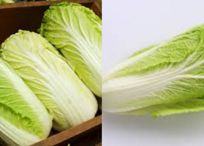  Jarang Diketahui Inilah 8 Manfaat Sawi Putih Untuk Kesehatan Tubuh!