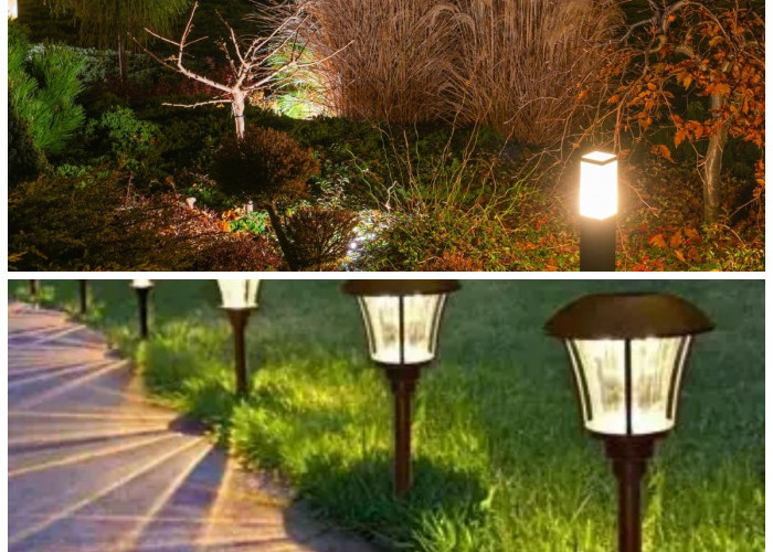 Inspirasi Lampu Taman Tenaga Surya 2026: Bikin Halaman Cantik, Hemat Listrik, dan Ramah Lingkungan