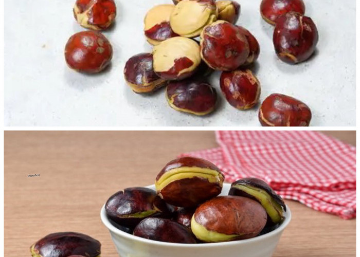 Manfaat Jengkol bagi Kesehatan Tubuh dan Efek Samping yang Perlu Diwaspadai!