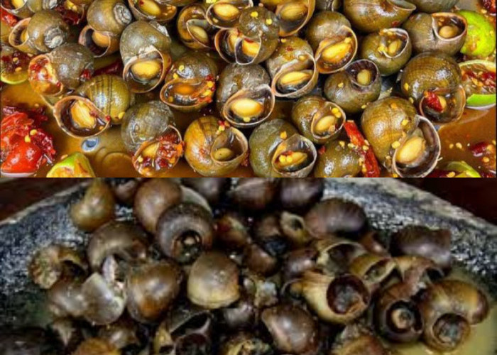 Manfaat Keong Sawah, Jaga Kolesterol hingga Imunitas!