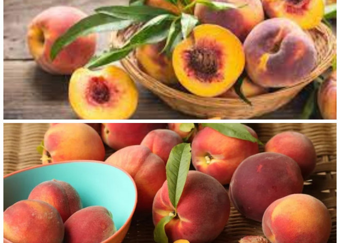 Rahasia Sehat dari Buah Peach: Kaya Nutrisi dan Menyehatkan Tubuh