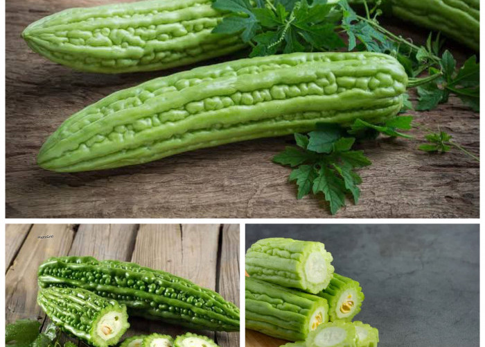 Inilah Manfaat Pare bagi Kesehatan Tubuh yang Jarang Diketahui!