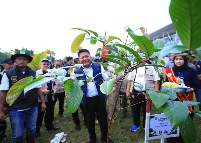 Herman Deru Soroti Anomali Iklim dan Ancaman Hilangnya Kayu Khas Sumsel
