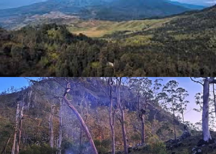 Pesona dan Misteri Gunung Cemaru, Kalimantan: Sejarah yang Terlupakan