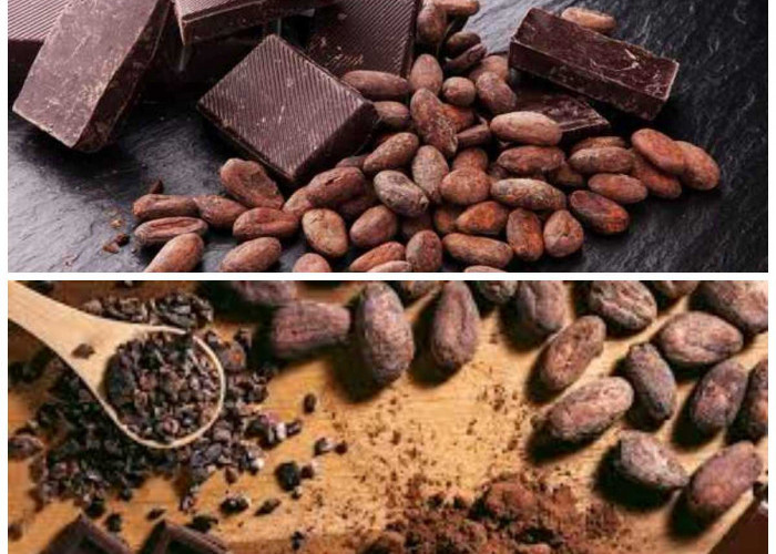 Rahasia Manfaat Cokelat dan Tips Konsumsi Sehat Tanpa Berlebihan