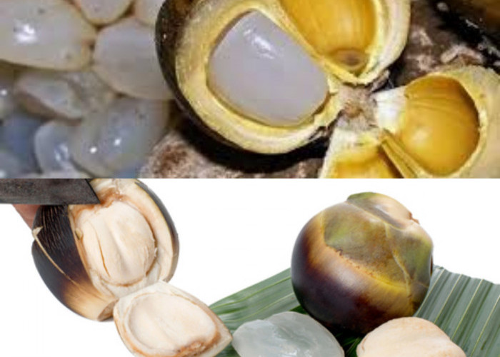  Ini Kegunaan Buah Lontar untuk Kesehatan Tubuh!