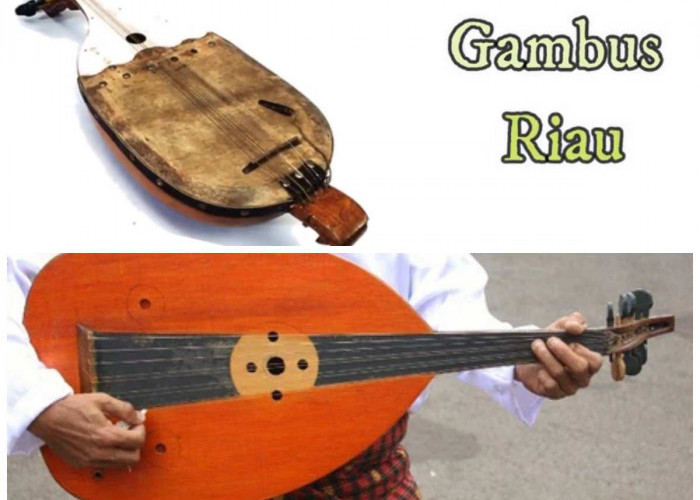 Mengenal Gambus Selodang: Simbol Kental Warisan Musik Melayu dan Nilai Religiusnya