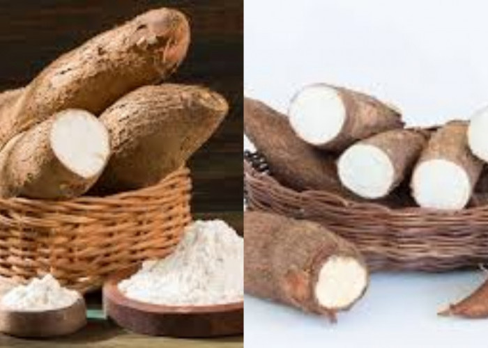 Tak Hanya Mengenyangkan, Ini 8 Manfaat Singkong Untuk Kesehatan Tubuh