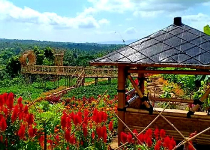 Taman Suruh, Daya Tarik Unik Agro Wisata Banyuwangi dengan Pesona Memukau
