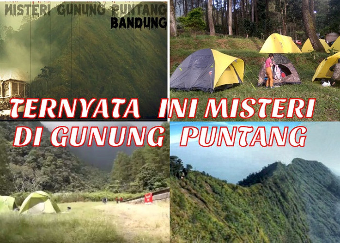 4 Cerita Misteri Dibalik Indahnya Gunung Puntang Bandung Jawa Barat, Baca Disini Sampai Habis! 