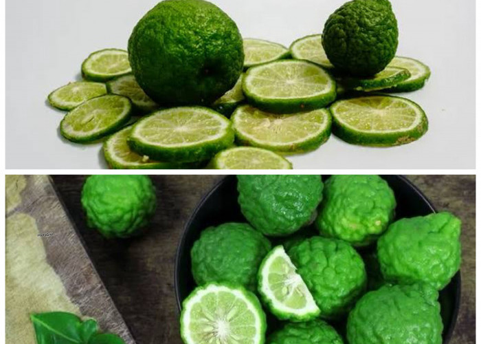 Manfaat Jeruk Perut bagi Kesehatan Tubuh: Si Kecil yang Kaya Khasiat!