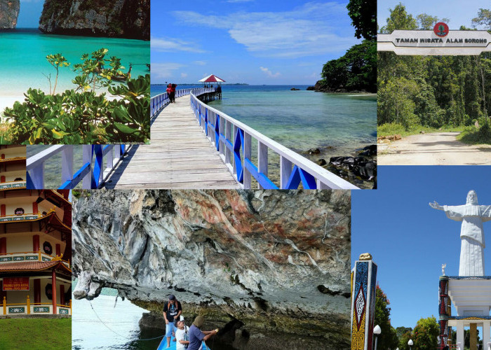 9 Wisata Papua Barat, No 1 Keajaiban Bawah Laut, Menyelam di Surga Raja Ampat 