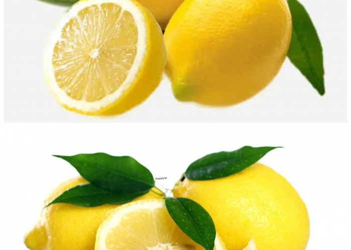 Khasiat Lemon untuk Kesehatan Tubuh yang Jarang Diketahui!