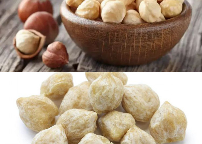 Kemiri, Tahu Kandungan dan Manfaatnya untuk Kesehatan! 