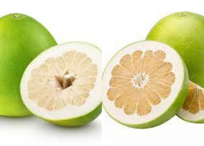 Yuk Intip Inilah Manfaat Jeruk Bali Untuk Kesehatan Tubuh Yang Luar Biasa!