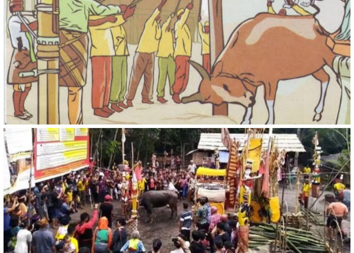 Rumah Adat Betang: Jejak Peradaban Dayak Lewat 5 Tipe Rumah Tradisional yang Sarat Makna dan Filosofi