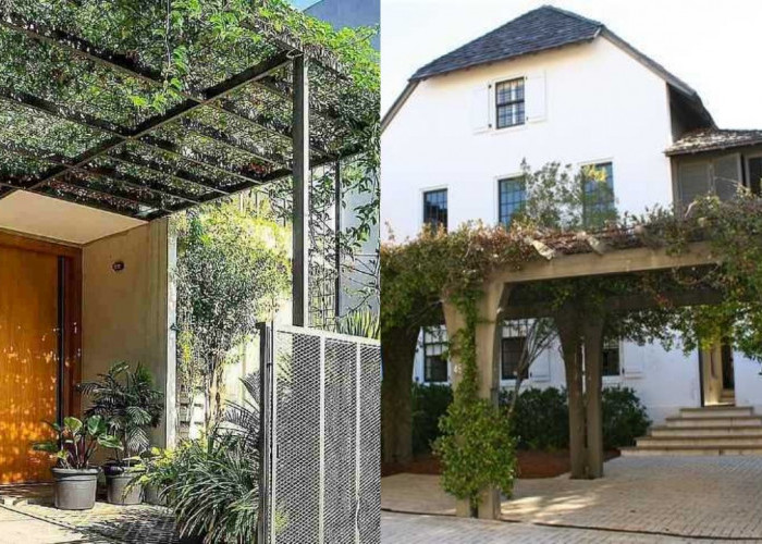 Ide Kebun Rambat Minimalis sebagai Kanopi, Sejuk Tanpa AC Berlebih!
