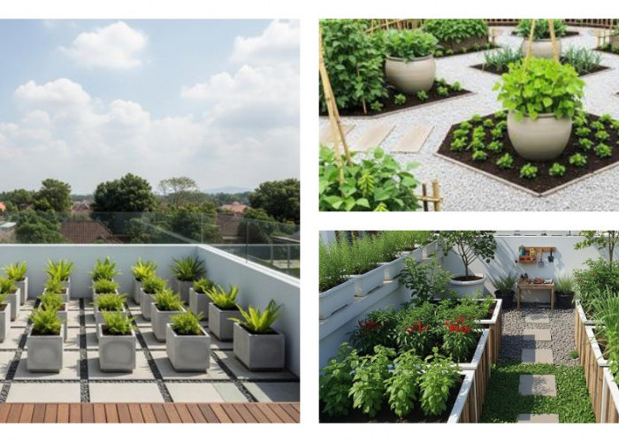 Transformasi Atap Menjadi Oasis Hijau: 9 Ide Kebun Minimalis di Rooftop yang Wajib Dicoba