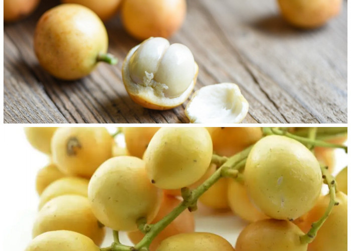 Tak Banyak yang Tahu! Rahasia Manfaat Buah Rambai untuk Menjaga Kesehatan
