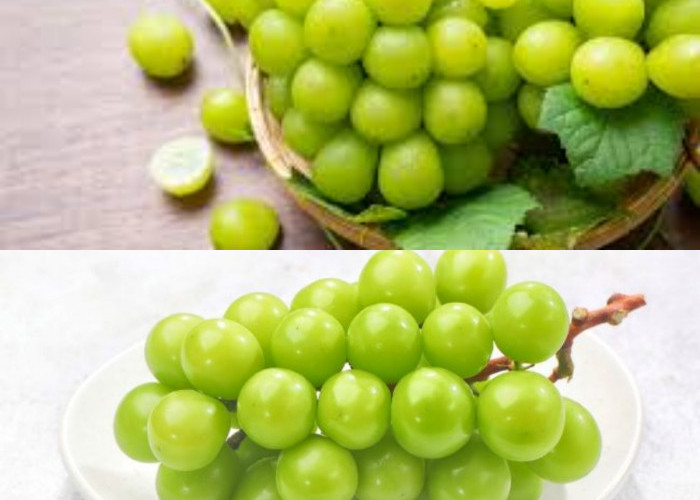 Ketahui Manfaat Anggur Hijau untuk Kesehatan Tubuh!