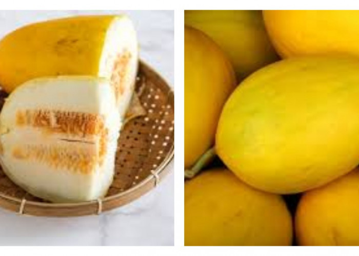 6 Keuntungan Buah Blewah, dari Menghindari Dehidrasi hingga Menjaga Kesehatan Kulit