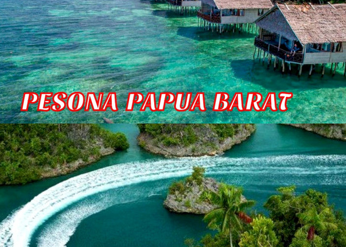 Apa Istimewanya Papua Barat? Simak 9 Tempat Dan Hal Unik Ini Untuk Mengetahuinya! 