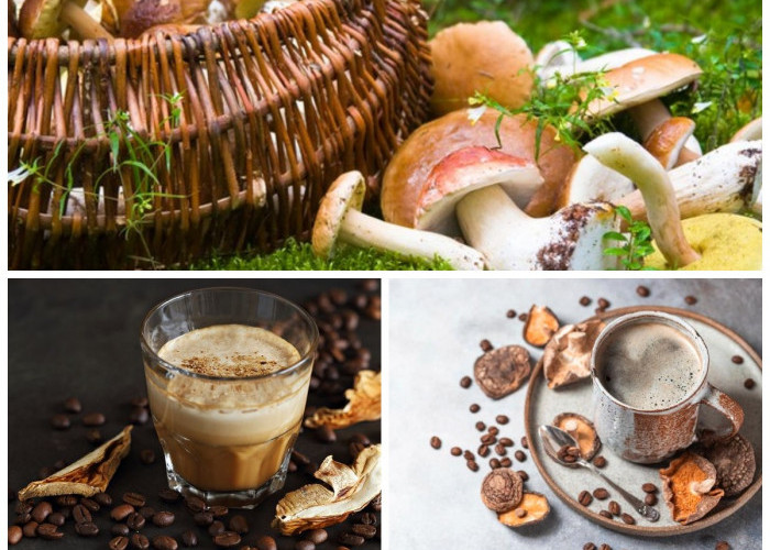 Manfaat Kopi Jamur bagi Kesehatan Tubuh: Rahasia Energi Alami dan Daya Tahan Tanpa Efek Samping!