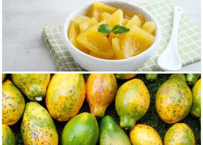 Mengungkap 7 Manfaat Buah Carica yang Baik untuk Kesehatan Tubuh!