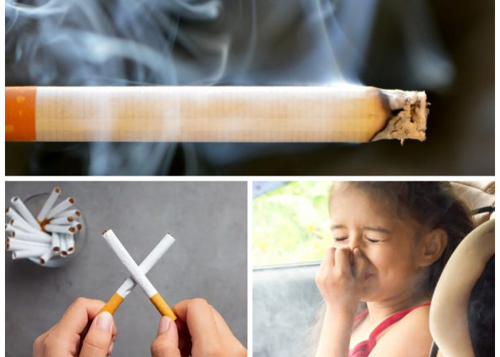 Kenali Bahaya Asap Rokok bagi Anak: Ancaman Tersembunyi yang Mengintai Tumbuh Kembang Si Kecil!