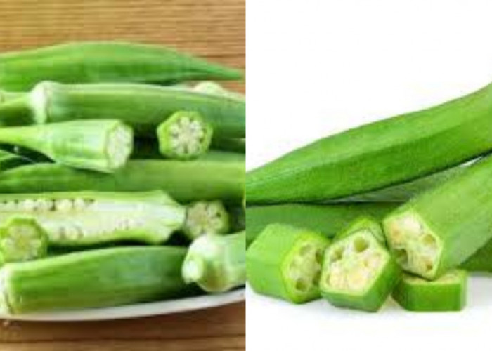 Yuk Cobain! 8 Manfaat Okra Untuk Kesehatan Dan Cara Mengolahnya