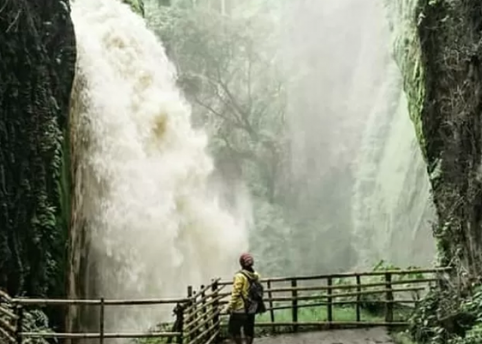Pesona Wisata Lain di Kaki Gunung Ijen, Suguhkan Wisata Air Terjun Blawan yang Mempesona 